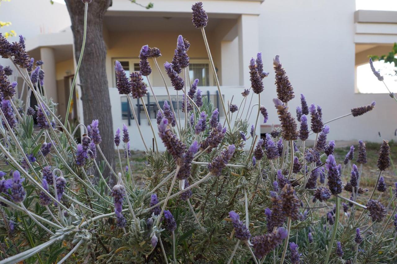 Olive House Villa Малиа Екстериор снимка