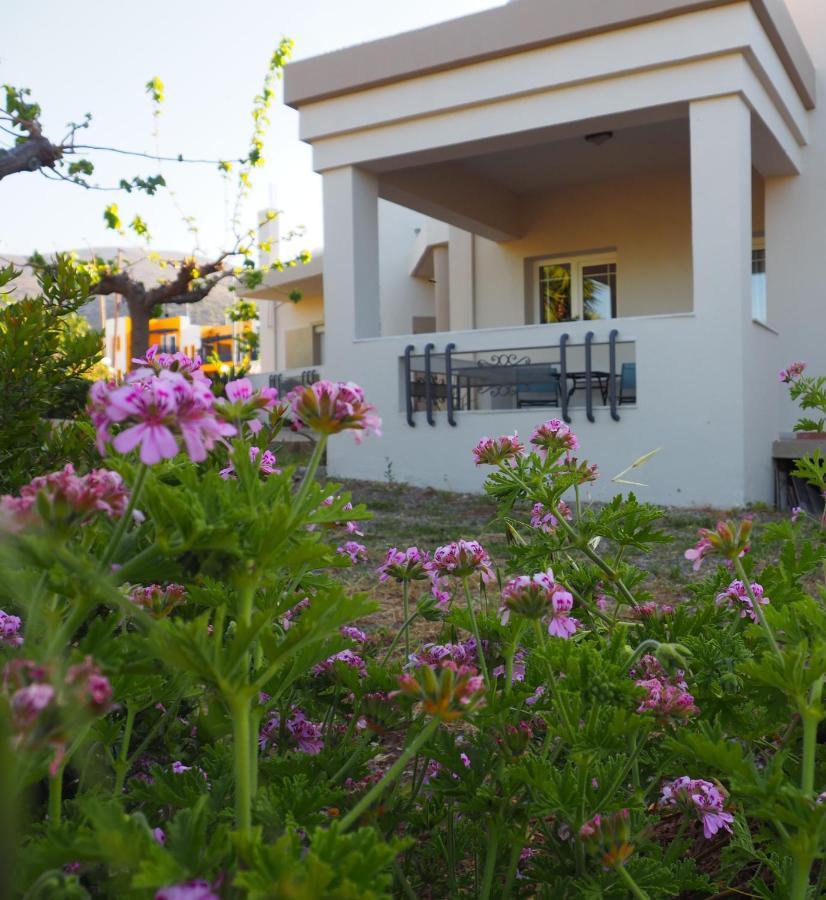 Olive House Villa Малиа Екстериор снимка