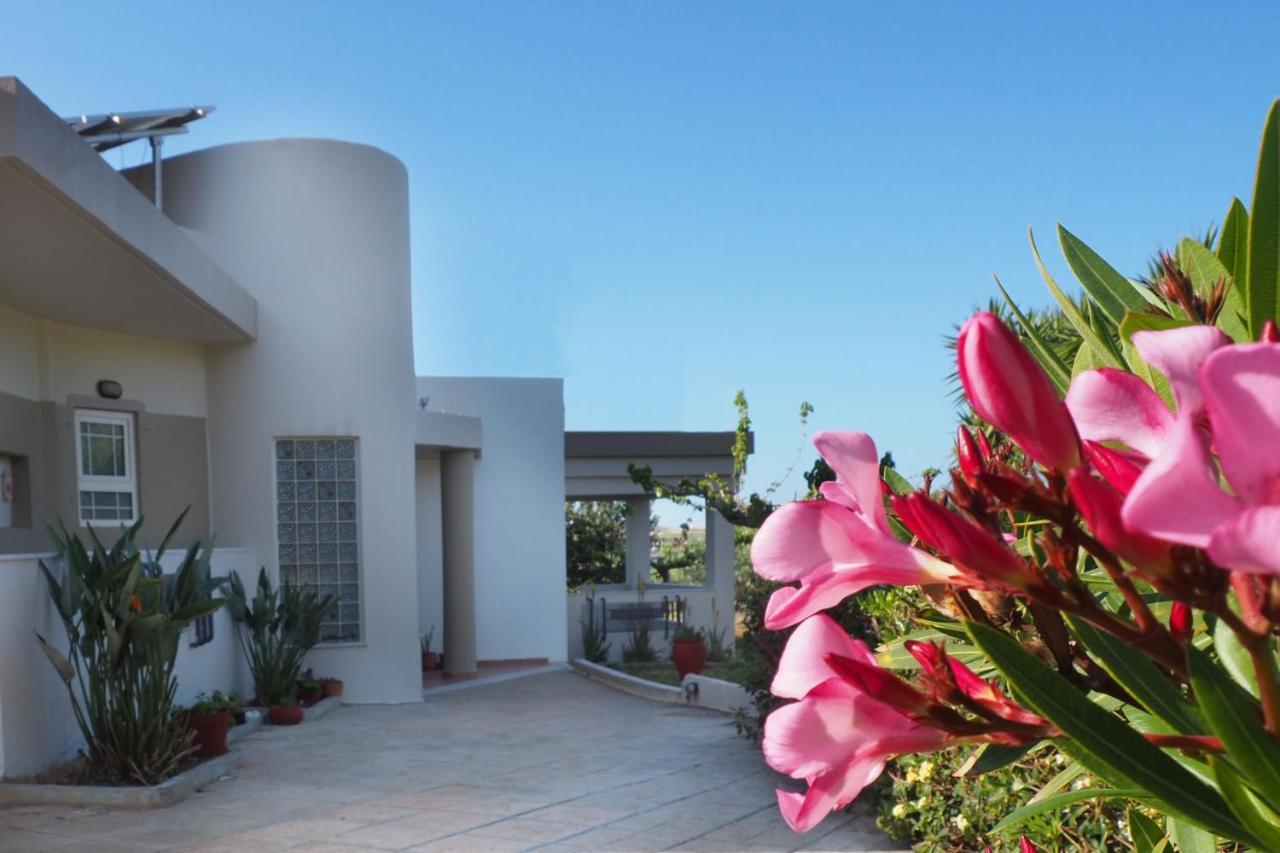 Olive House Villa Малиа Екстериор снимка