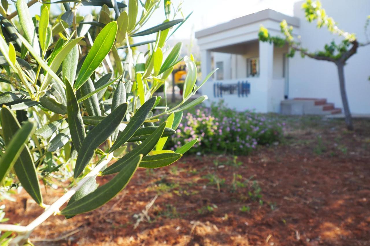 Olive House Villa Малиа Екстериор снимка
